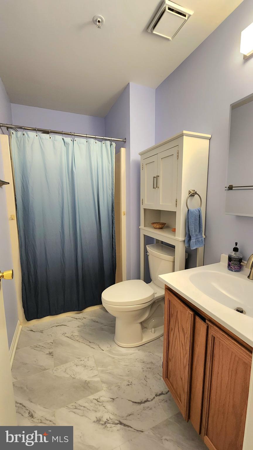 9264 Cherry Lane, Unit 48 Laurel, MD 20708 - Photo 7 of 22 2nd hall bathroom