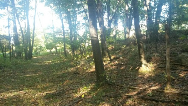 Lot 4 Mountain Road Hampden, MA 01036 - Photo 1 of 1 Gallery Image 1