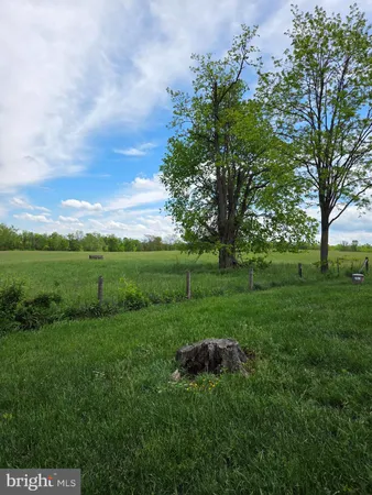 a view of a grassy field with trees