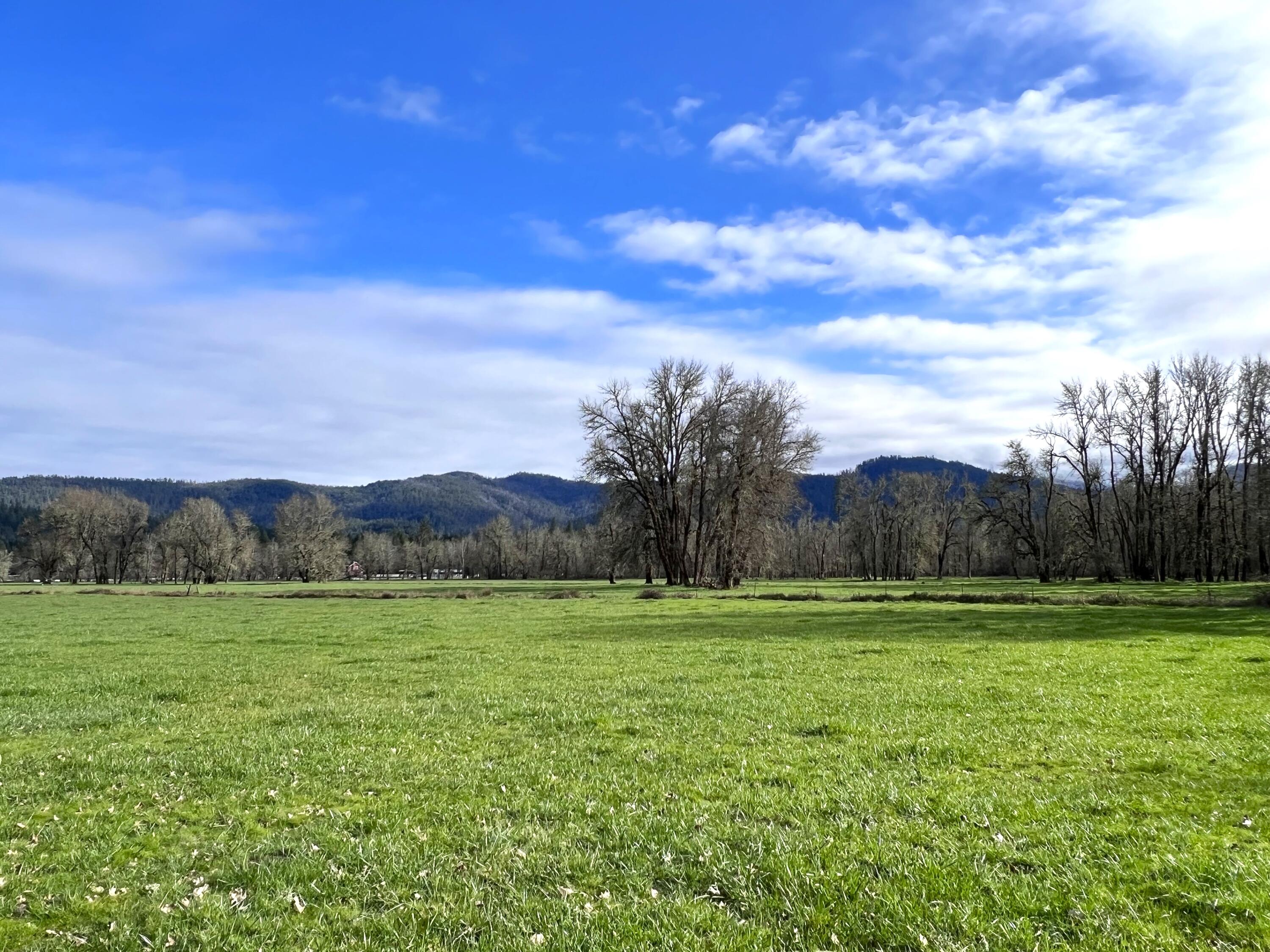 620 Dick George Road Cave Junction, OR 97523 - Photo 92 of 123 113