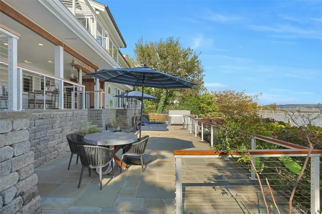 a view of a garden with plants