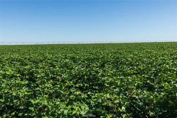 a view of a field