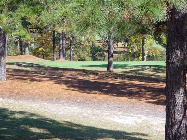 217 Knoll Road Southern Pines, NC 28387 - Photo 12 of 12 Additional Photo