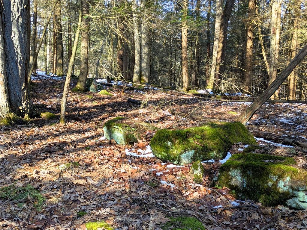 160 Mill Run School Road Farmington, PA 15437 - Photo 11 of 21 Gallery Image 11