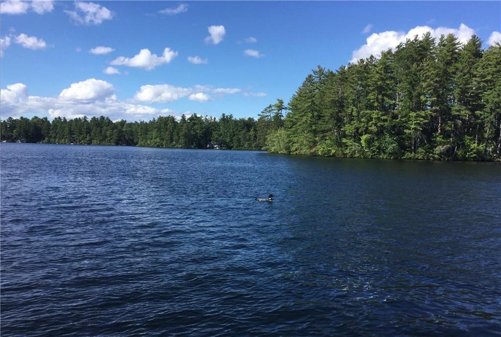 9 Out Road West Newfield, ME 04095 - Photo 2 of 35 Balch Lake with one of it's Loons.