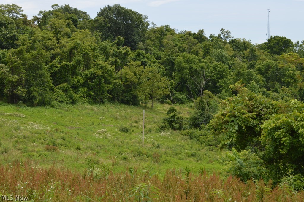 679 A Gates Ridge Road Rockport, WV 26169 - Photo 24 of 24