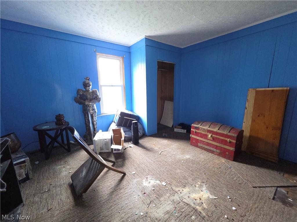 65109 Union Street Neffs, OH 43940 - Photo 3 of 9