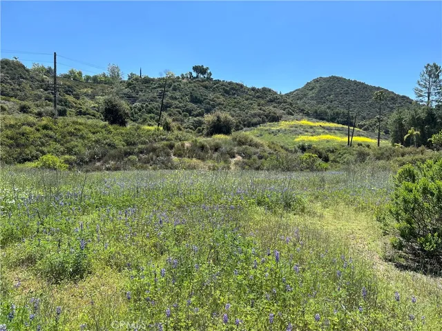 a view of a lake with a mountain in the background