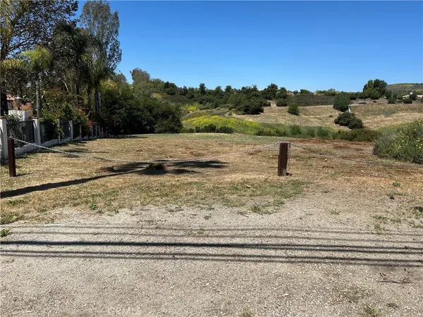 a view of a yard