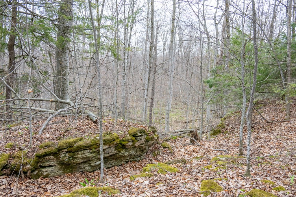 Lot 2 Cottage Road Ellison Bay, WI 54210 - Photo 7 of 30
