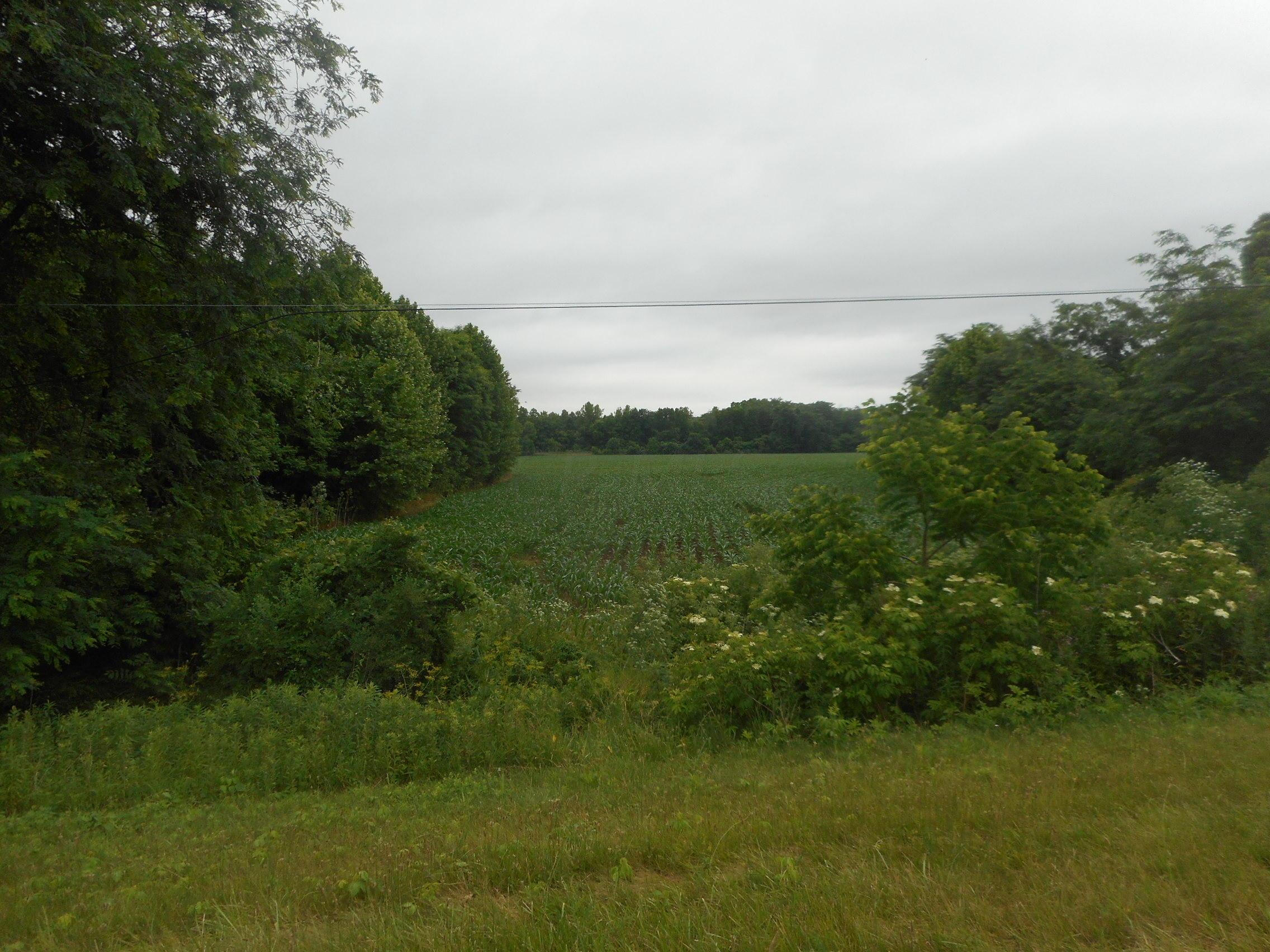 1 Outville Road Alexandria, OH 43001 - Photo 2 of 2