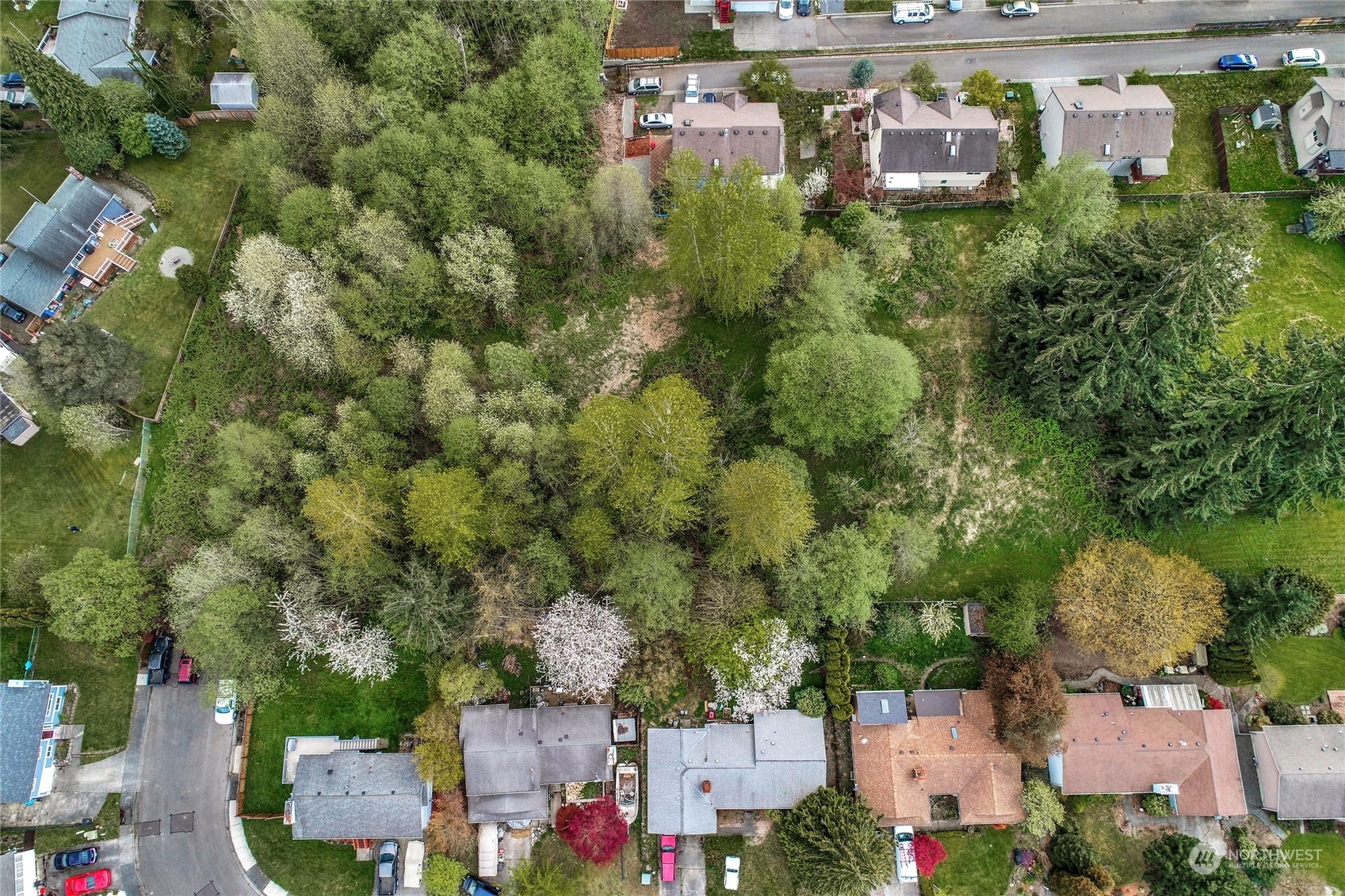 7815 Upper Ridge Road Everett, WA 98203 - Photo 11 of 14 an aerial view of residential houses with outdoor space and trees