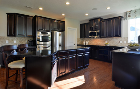 4504 Corktree Road Naperville, IL 60564 - Photo 4 of 12