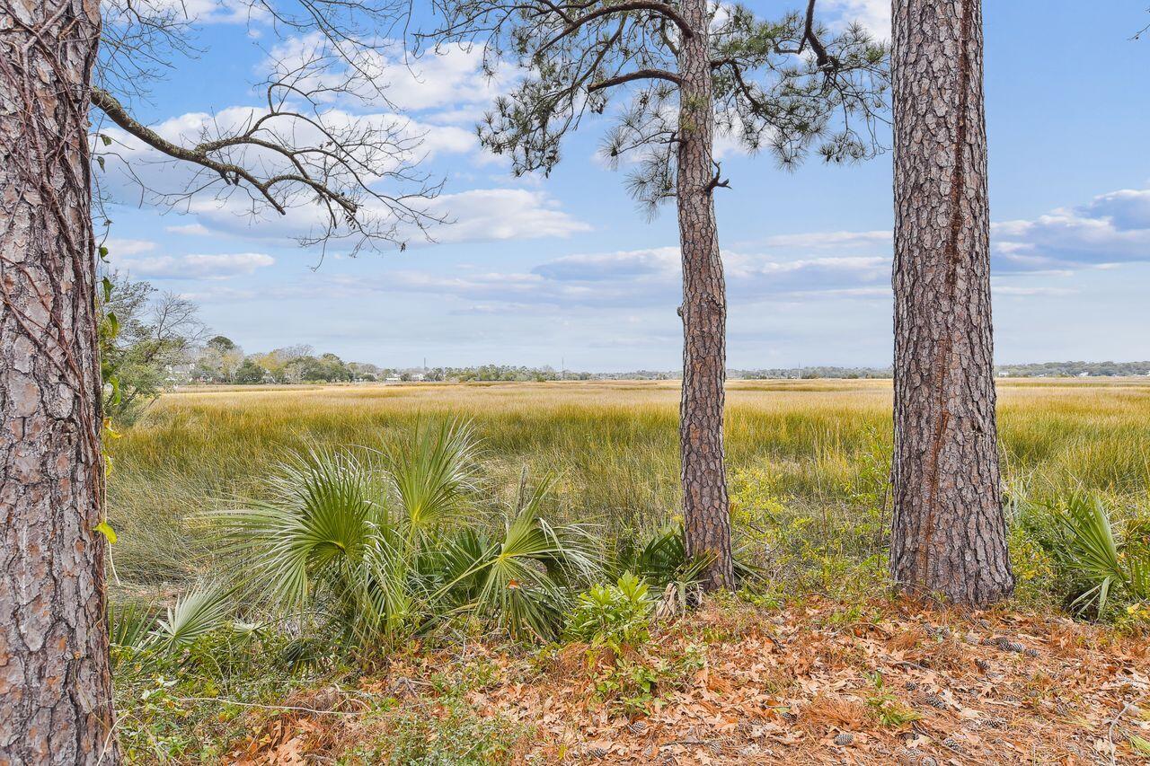 2362 Parsonage Road, Unit 9B Charleston, SC 29414 - Photo 1 of 28 exterior-view_from_back-dsc5231 lol