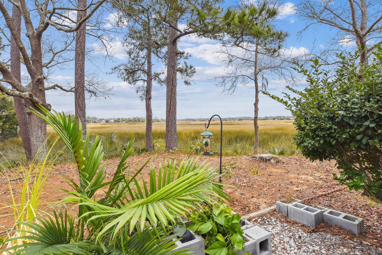 2362 Parsonage Road, Unit 9B Charleston, SC 29414 - Photo 28 of 28 exterior-view_from_back-dsc5235 lol