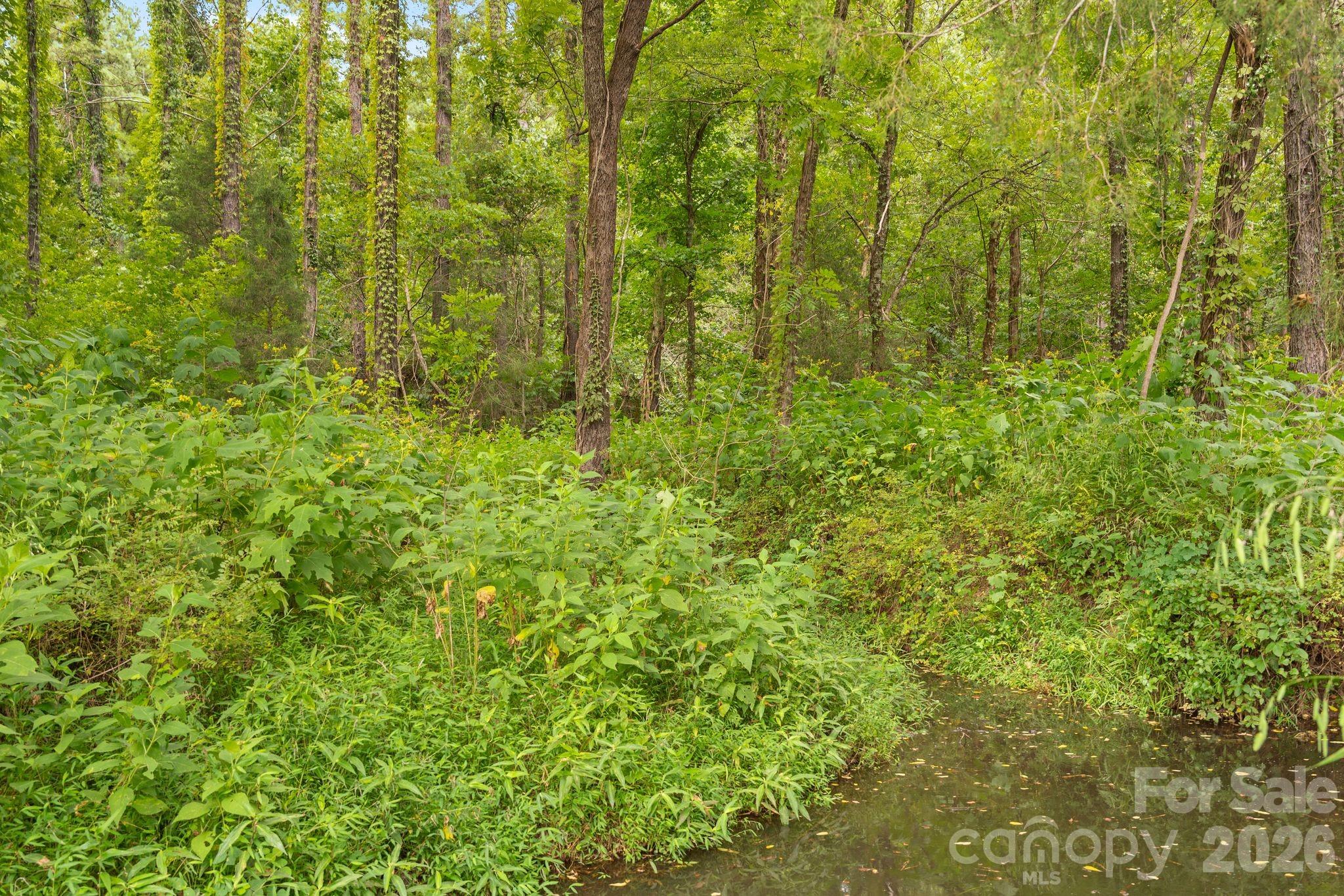 0 Blanton Road, Unit 2 Sharon, SC 29742 - Photo 44 of 47 Gallery Image 44