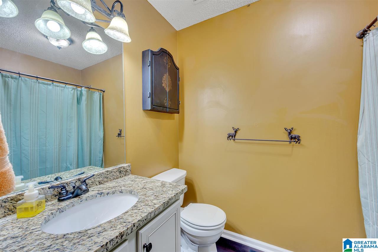 6481 Water Works Road Mount Olive, AL 35117 - Photo 14 of 30