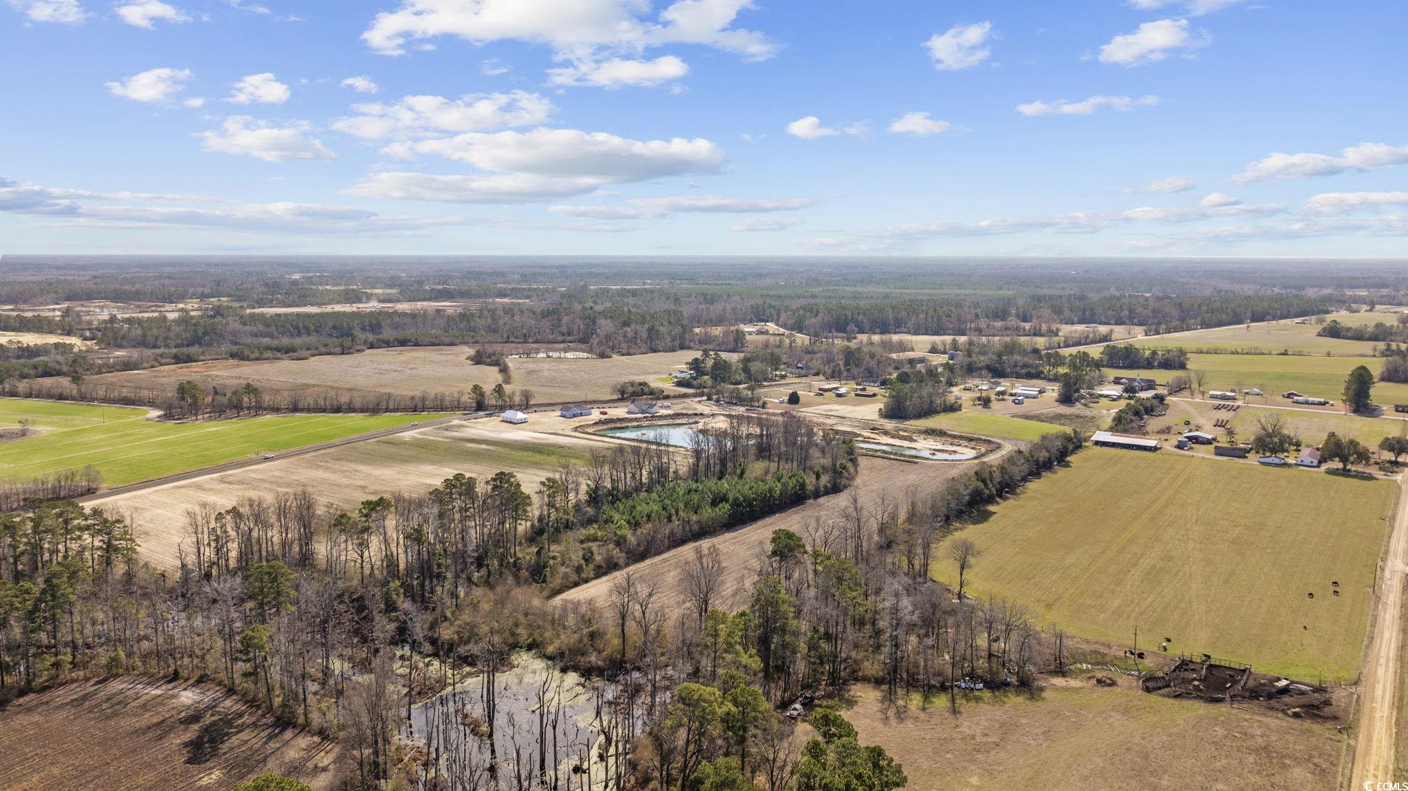 Tbd Gurley Road Loris, SC 29569 - Photo 11 of 22