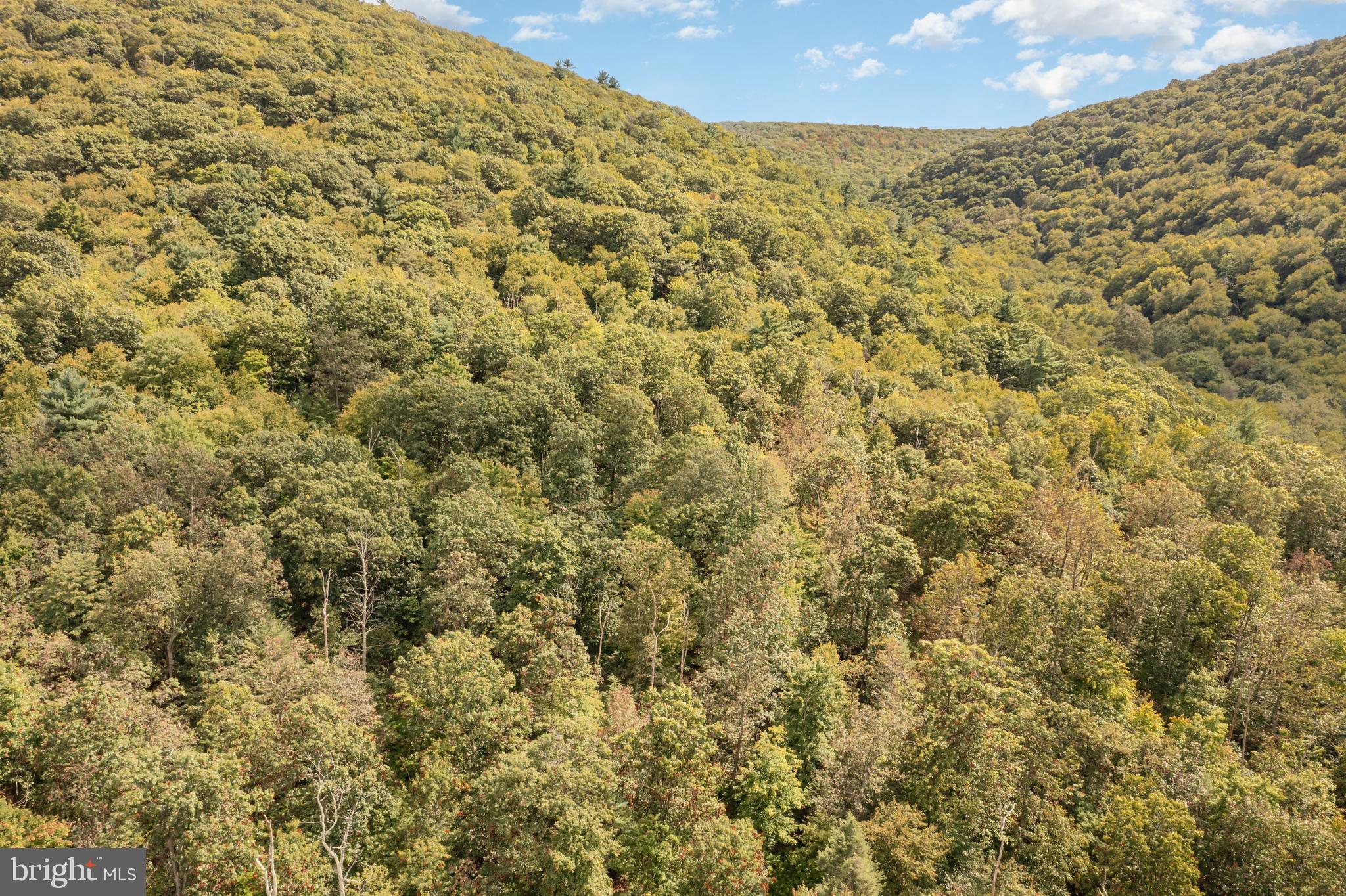 0 Wagner Road McClure, PA 17841 - Photo 2 of 7