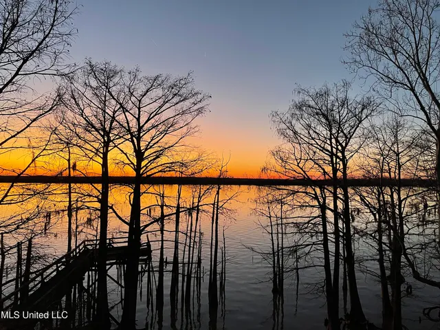 $290,000 | 4011 Lake Mary Road, Woodville, MS 39669