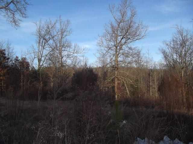 33.87-acres Friendship Road Seneca, SC 29678 - Photo 1 of 1 Gallery Image 1