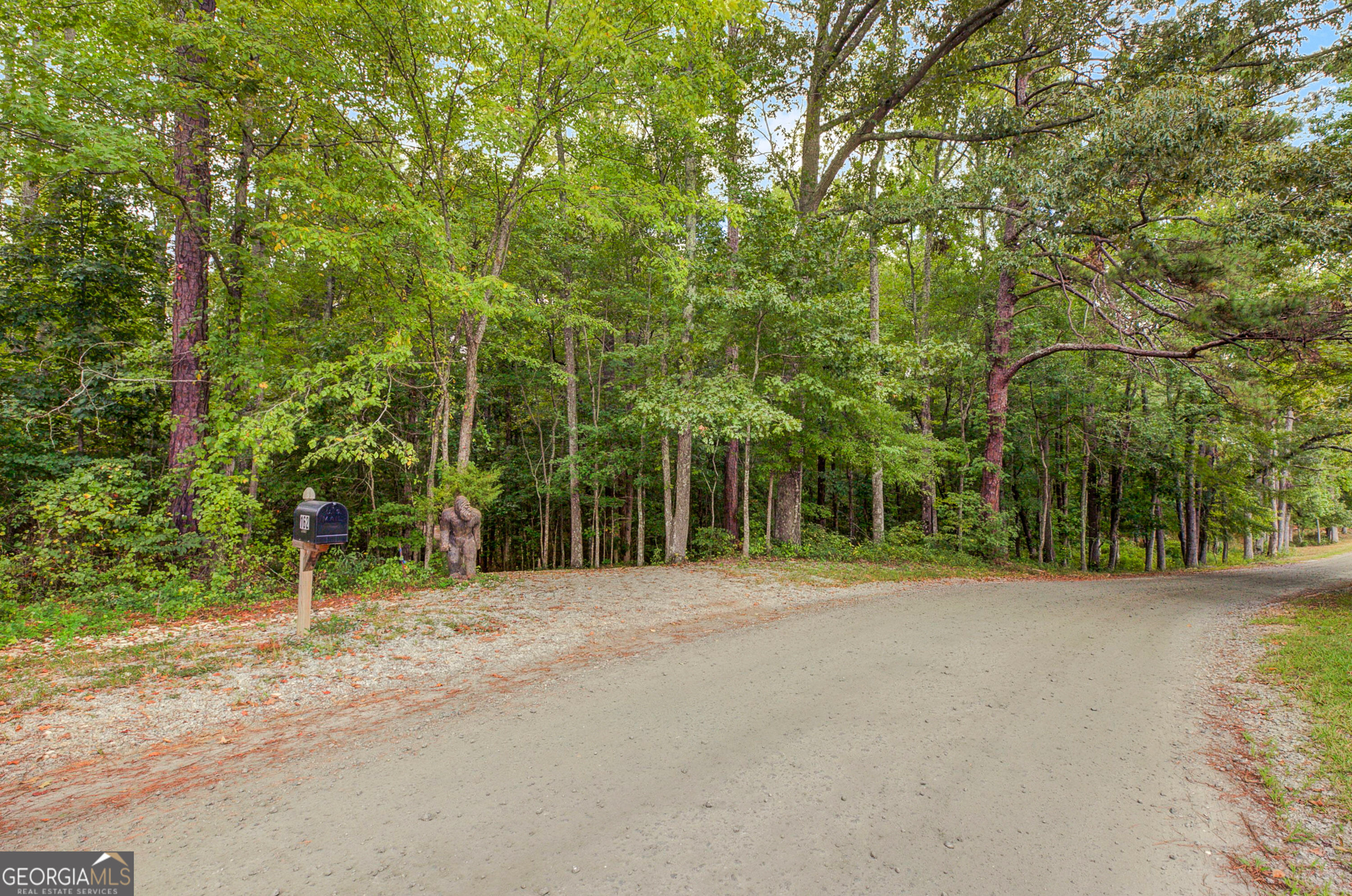 162 Thompson Road Senoia, GA 30276 - Photo 30 of 30 Gallery Image 30