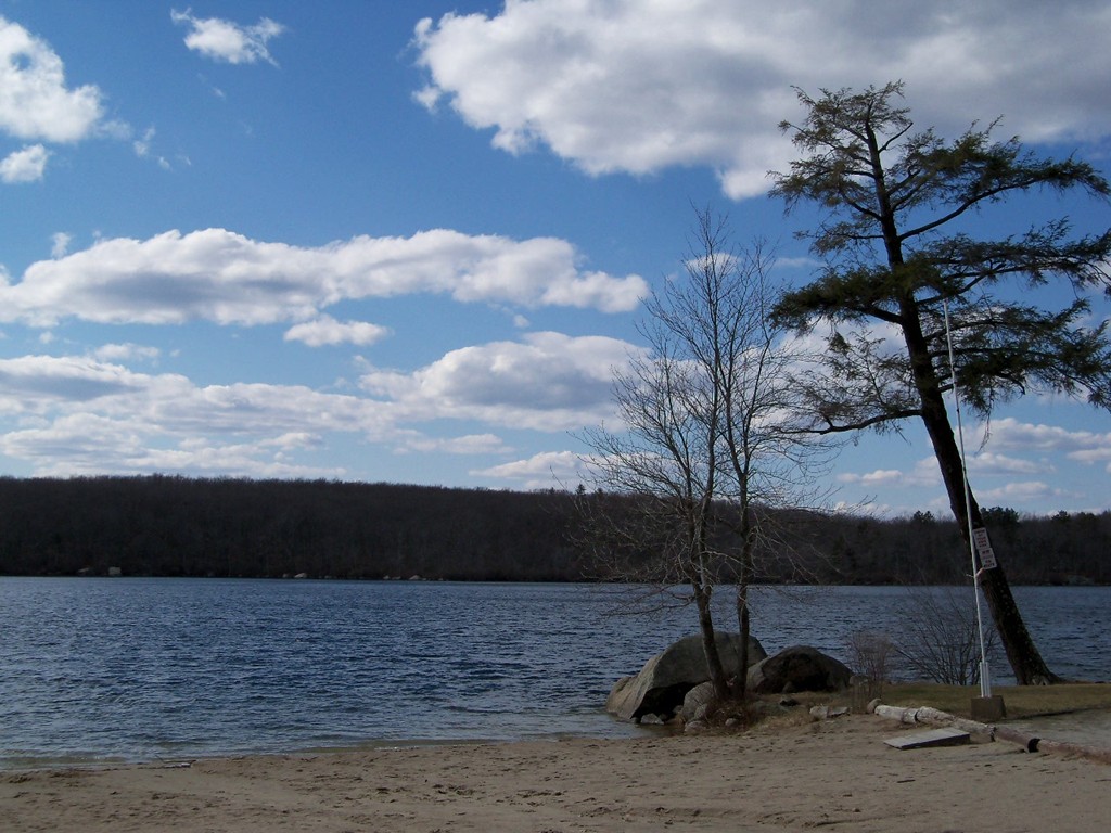 12 Roslyn Road Douglas, MA 01516 - Photo 3 of 7