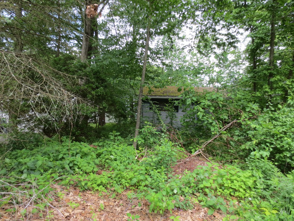 12 Roslyn Road Douglas, MA 01516 - Photo 6 of 7