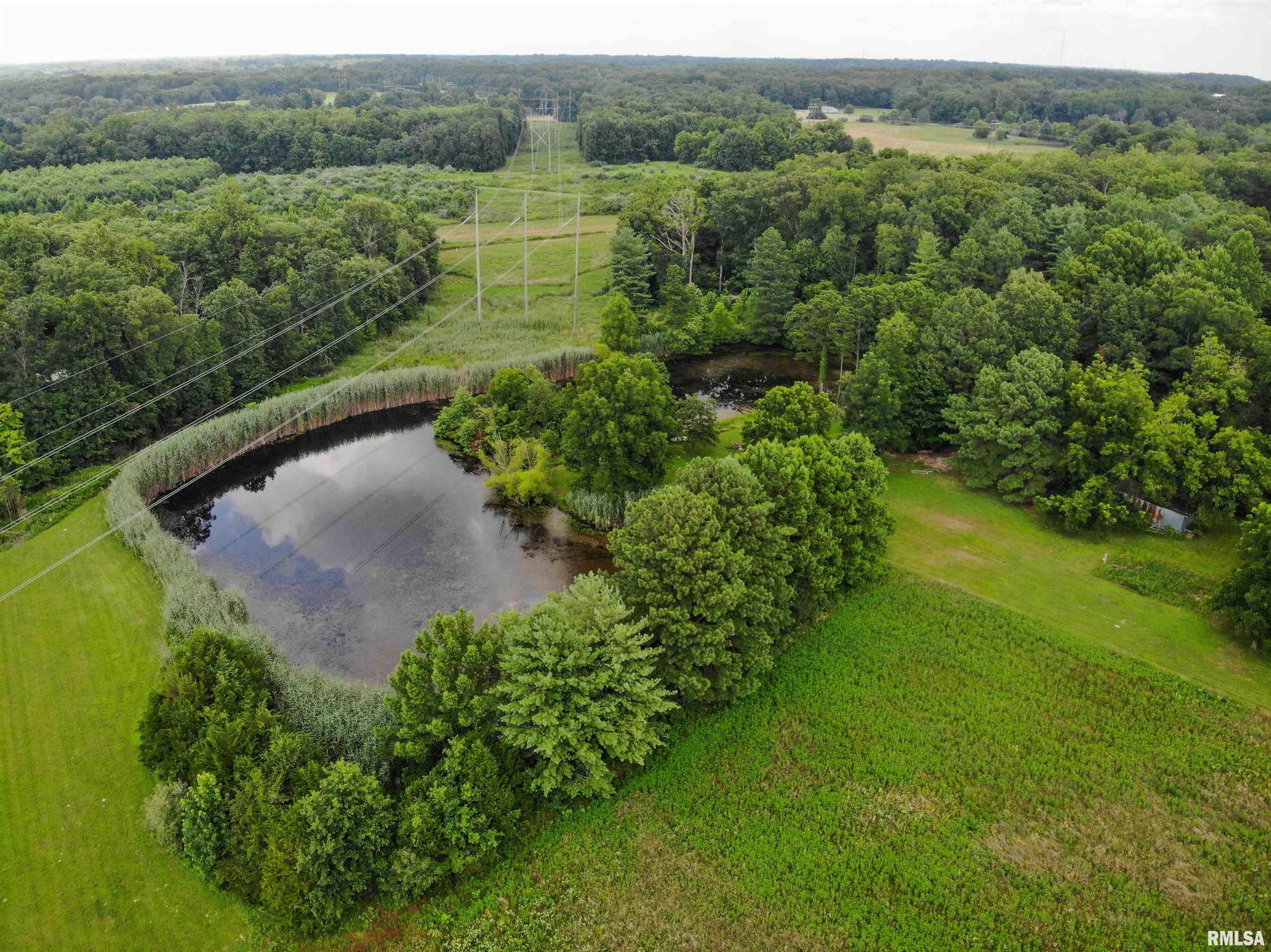 9758 East Richview Road Mount Vernon, IL 62864 - Photo 3 of 39