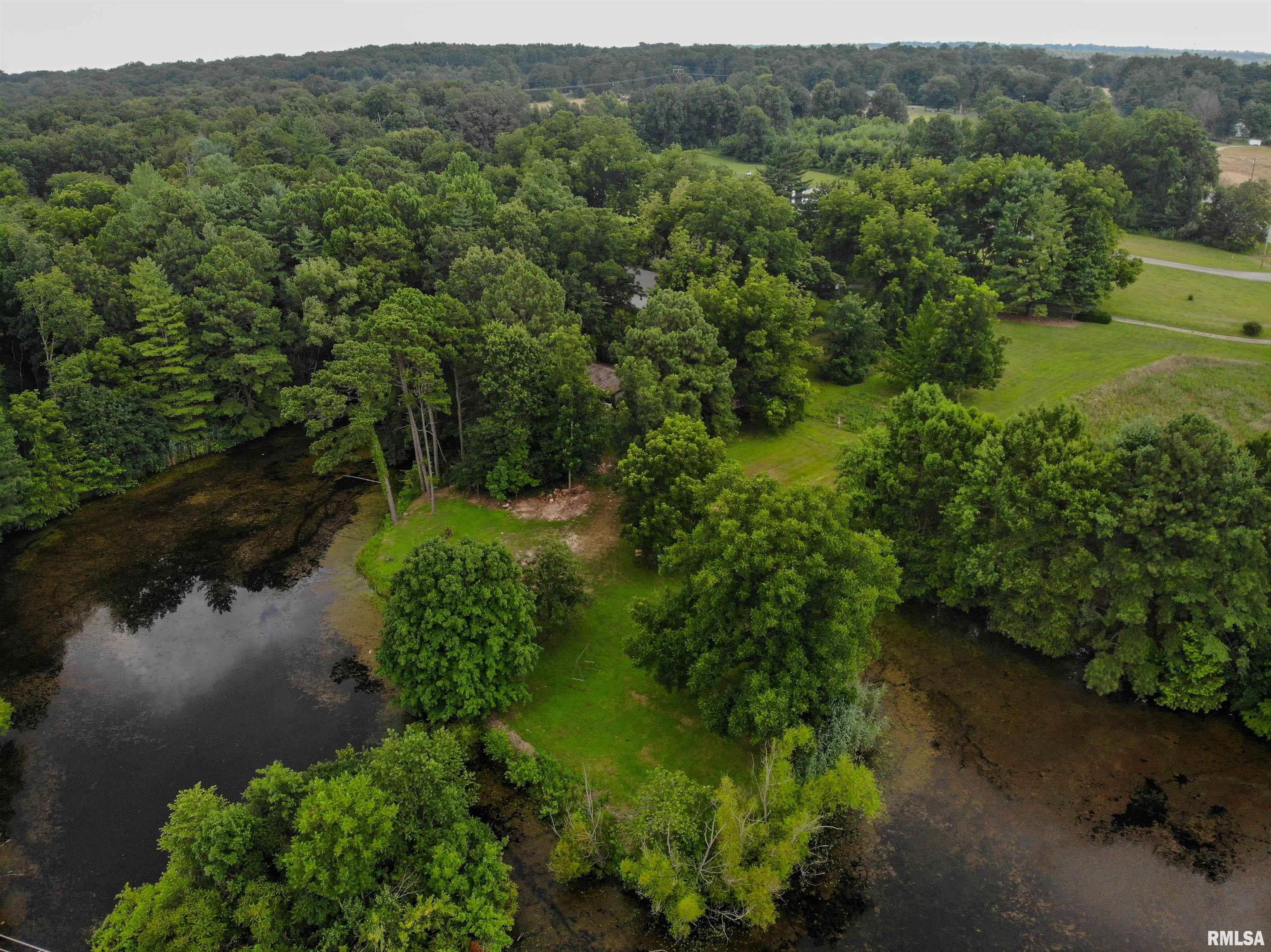 9758 East Richview Road Mount Vernon, IL 62864 - Photo 4 of 39