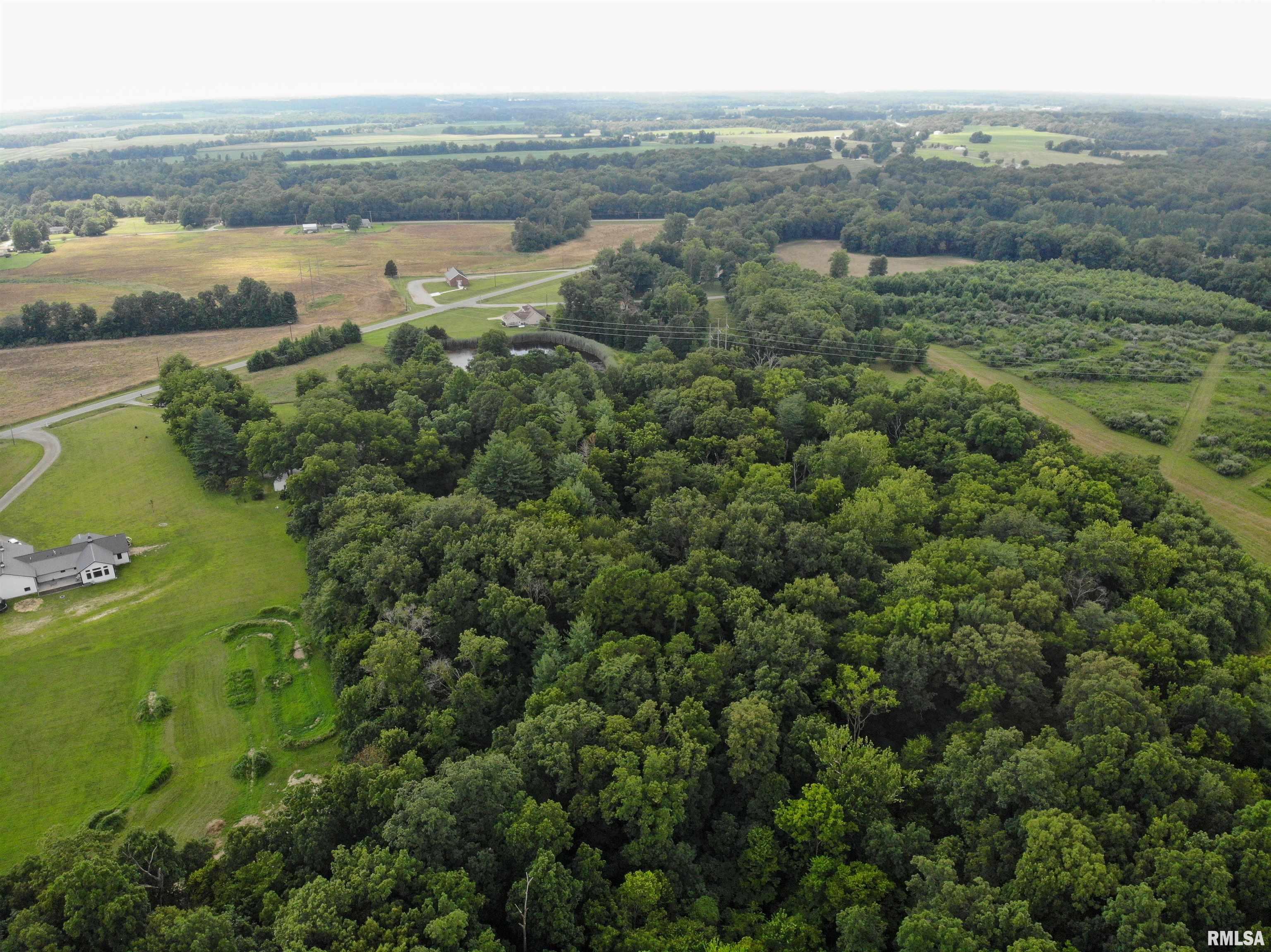 9758 East Richview Road Mount Vernon, IL 62864 - Photo 7 of 39