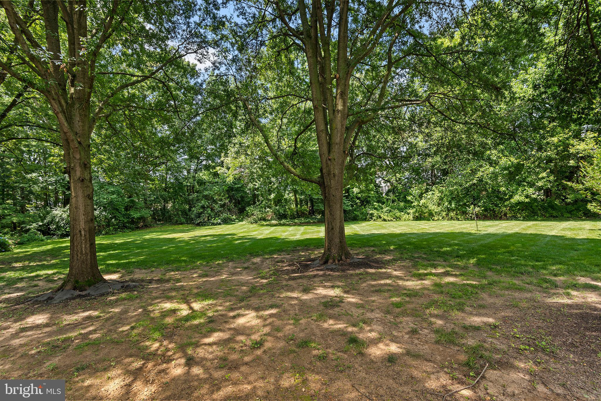 316 Caravel Drive Bear, DE 19701 - Photo 37 of 47 a view of a trees with a yard