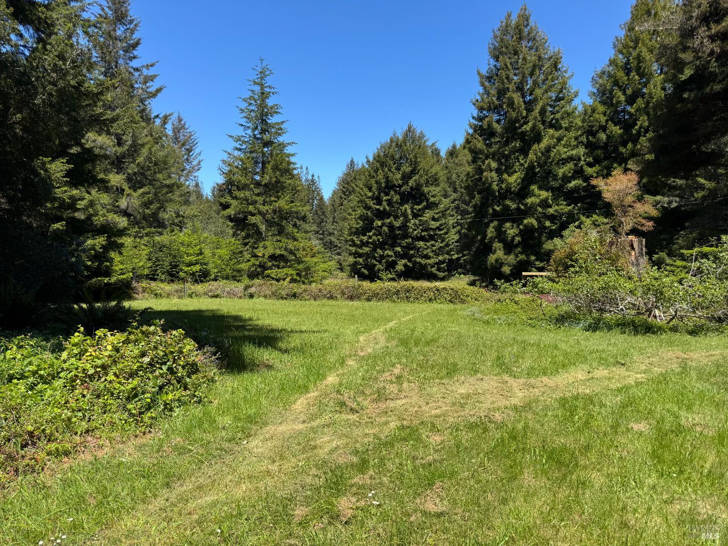 32371 Middle Ridge Road Albion, CA 95410 - Photo 31 of 35 a view of a garden with plants