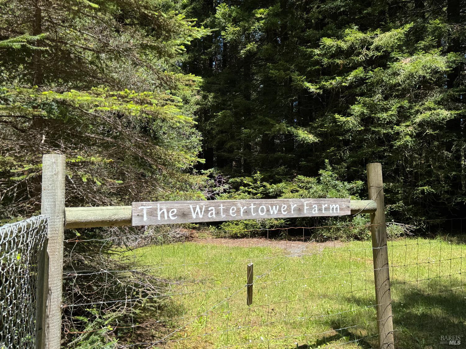 32371 Middle Ridge Road Albion, CA 95410 - Photo 33 of 35 a view of small yard