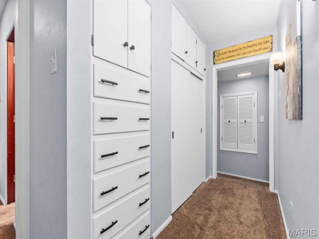 1005 Merrill Street Lebanon, IL 62254 - Photo 22 of 47 Gallery Image 22