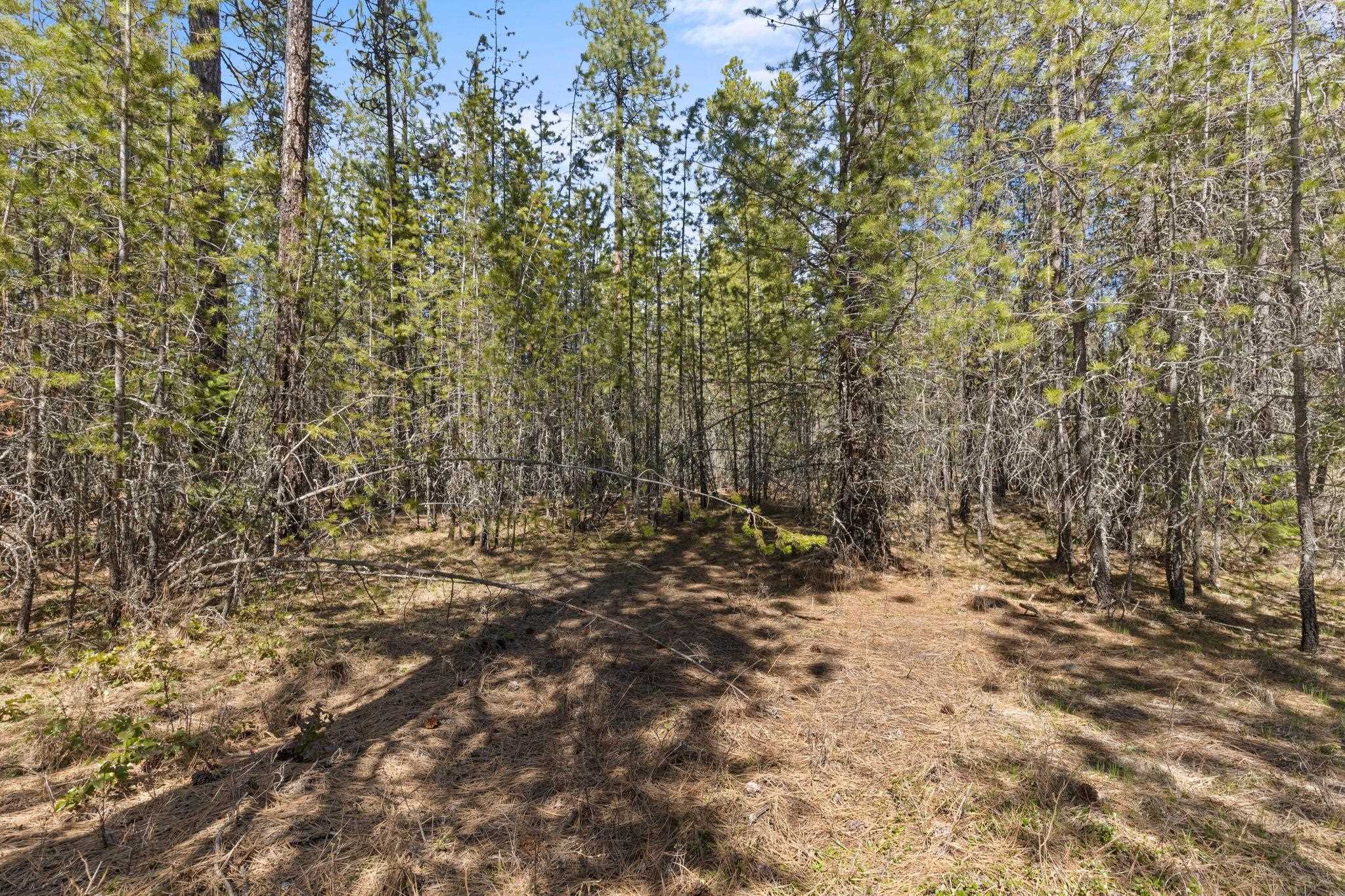 3792 P East Jump Off Road Valley, WA 99181 - Photo 7 of 15