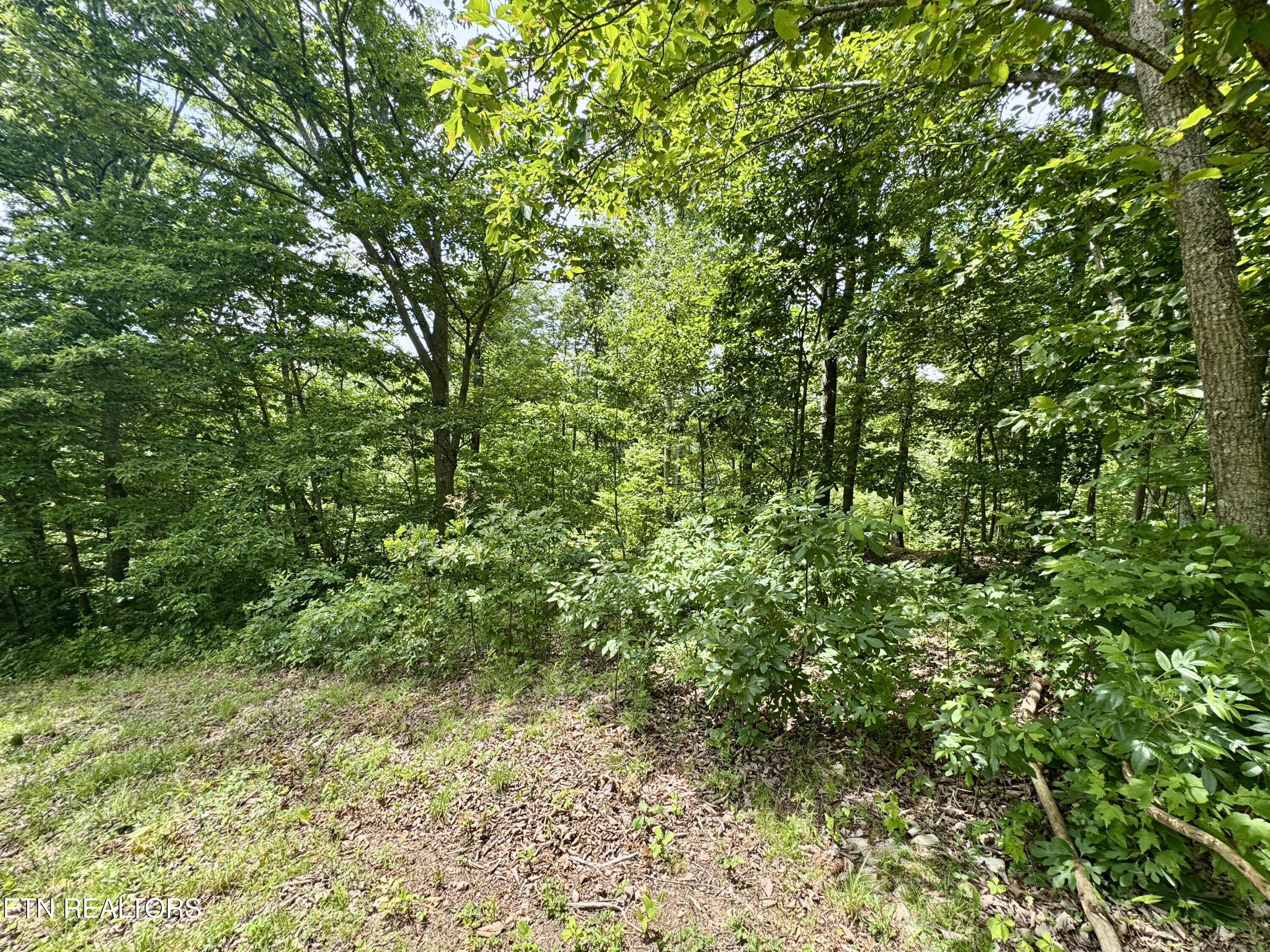 378 Johnson Hollow Road New Tazewell, TN 37825 - Photo 31 of 35 1-31