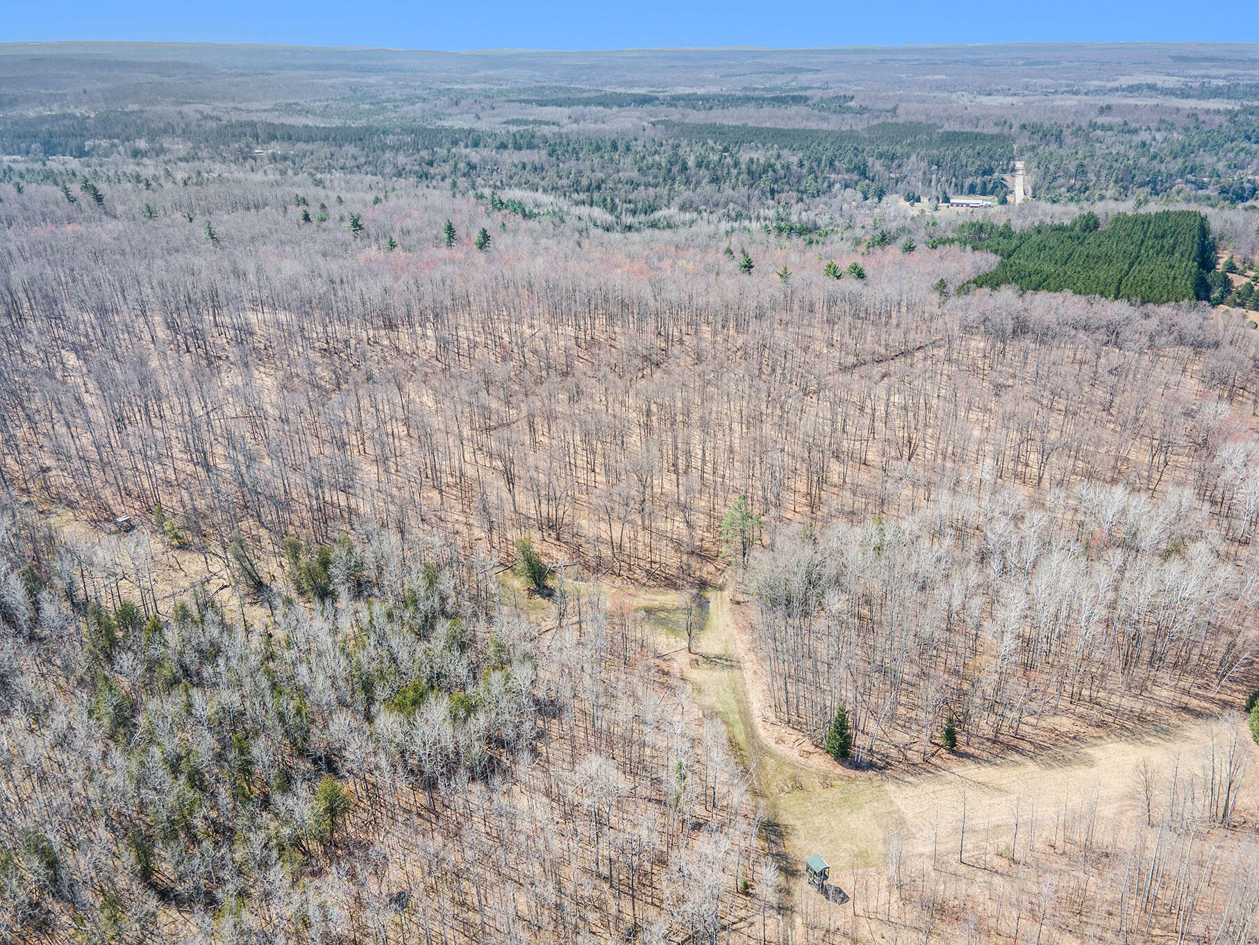 8453-8455 White Road Indian River, MI 49749 - Photo 37 of 56 DJI_0773