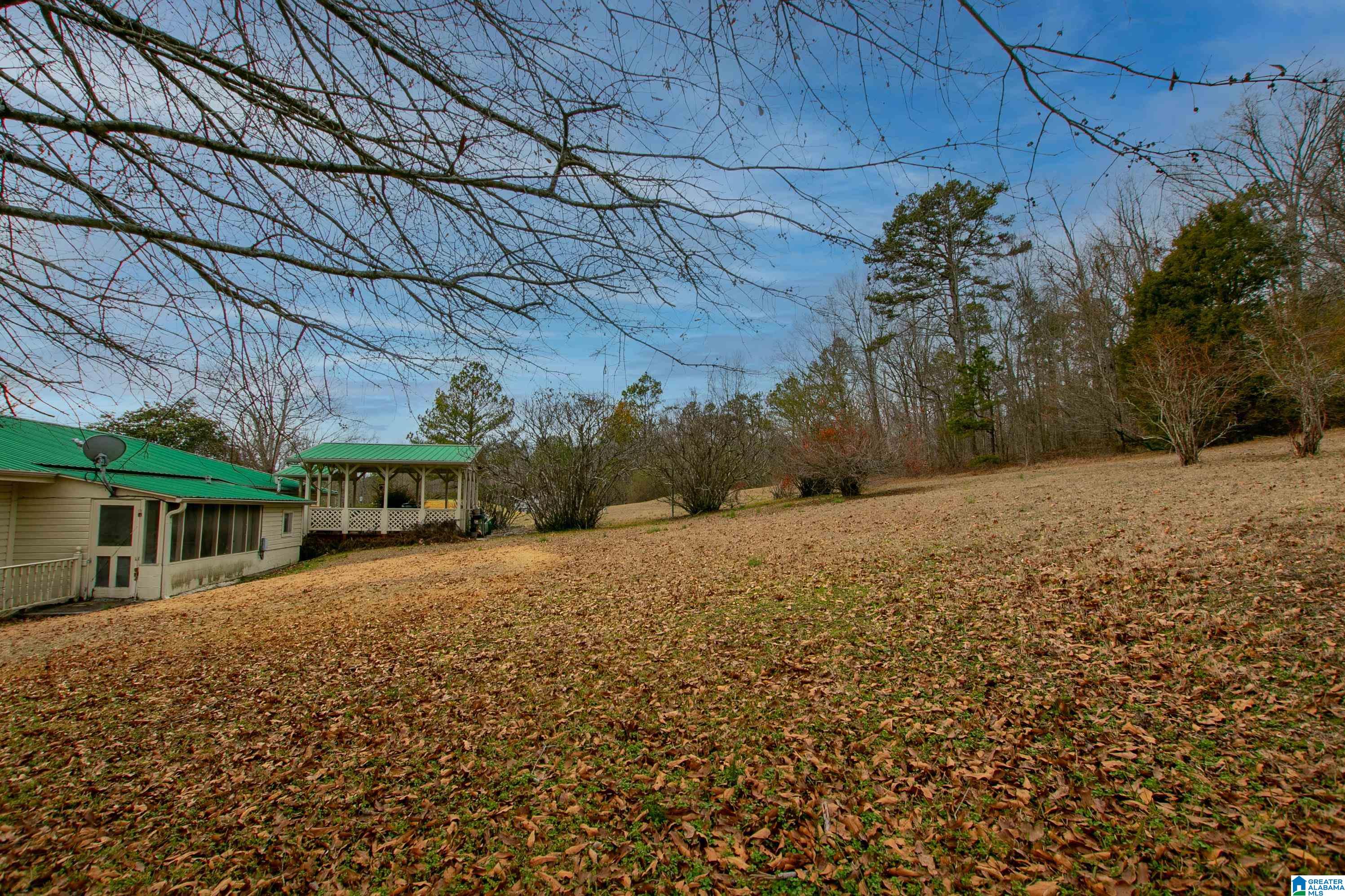 1042 Hoyt Hill Road Ashville, AL 35953 - Photo 34 of 45