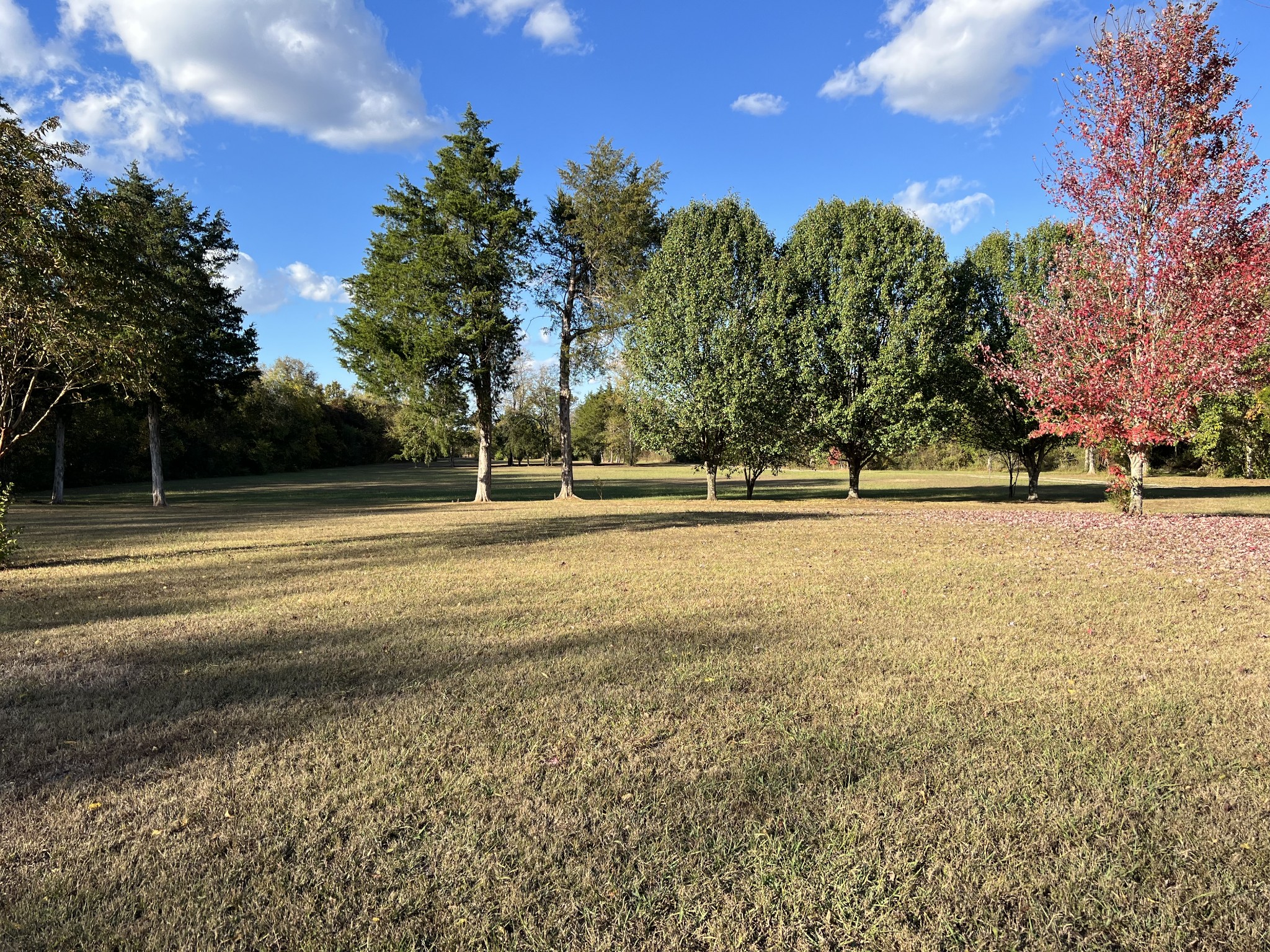 414 Sims Spring Road Shelbyville, TN 37160 - Photo 4 of 43 Gallery Image 4