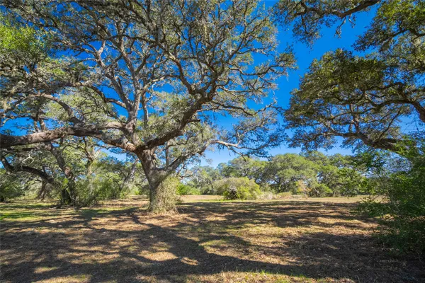 a view of a yard with an trees