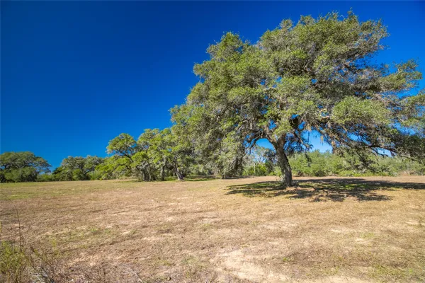 a view of outdoor space with garden