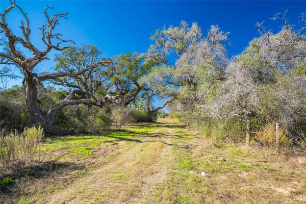 a view of a yard with swimming pool