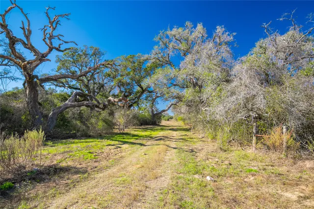 a view of a yard with swimming pool