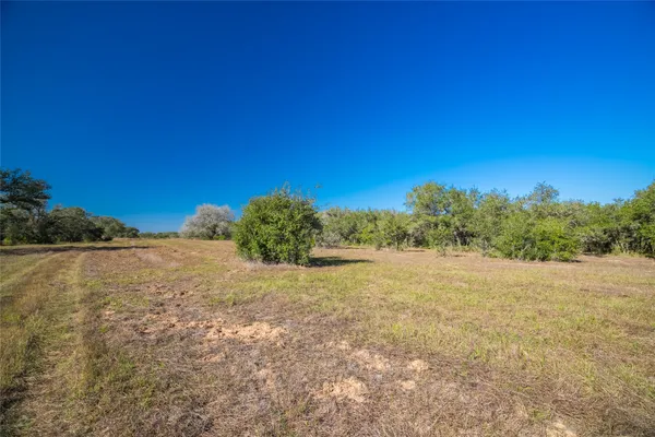 a view of an outdoor space with trees