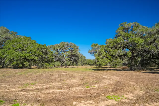 a view of a field with trees in the background