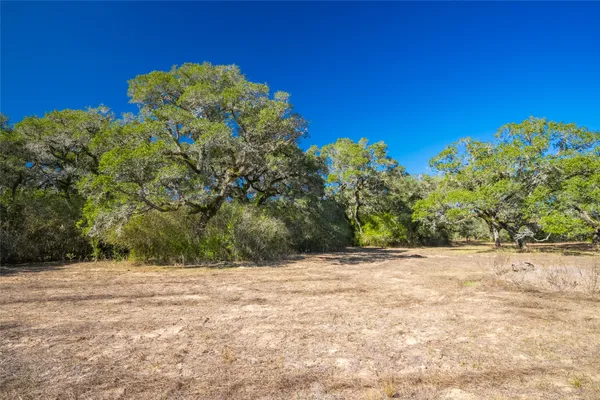 a view of a wooden fence