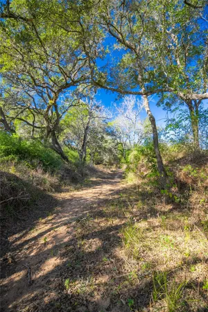 a view of backyard of a house