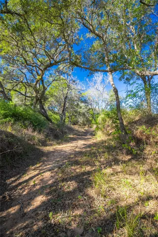a view of backyard of a house