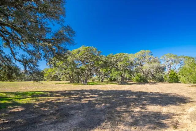 a view of a yard with a tree